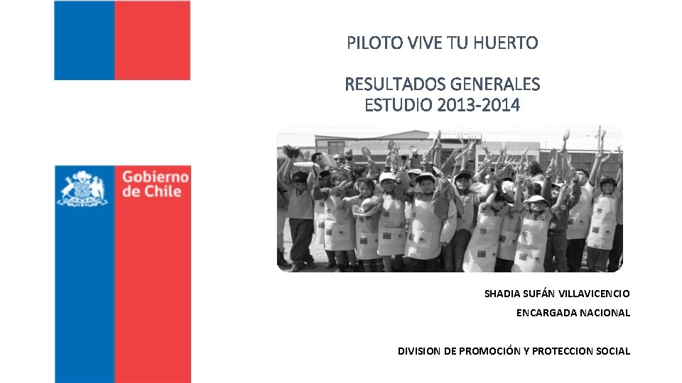 PILOTO VIVE TU HUERTO RESULTADOS GENERALES ESTUDIO 2013 -2014 SHADIA SUFÁN VILLAVICENCIO ENCARGADA NACIONAL