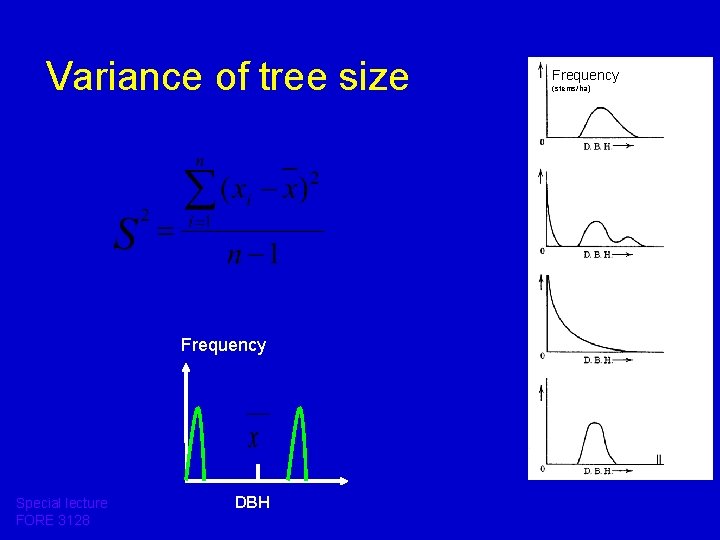 Variance of tree size Frequency Special lecture FORE 3128 DBH Frequency (stems/ha) 