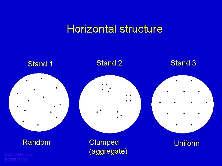Horizontal structure Stand 1 Random Special lecture FORE 3128 Stand 2 Clumped (aggregate) Stand