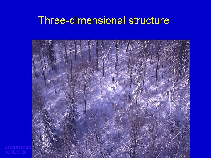 Three-dimensional structure Special lecture FORE 3128 