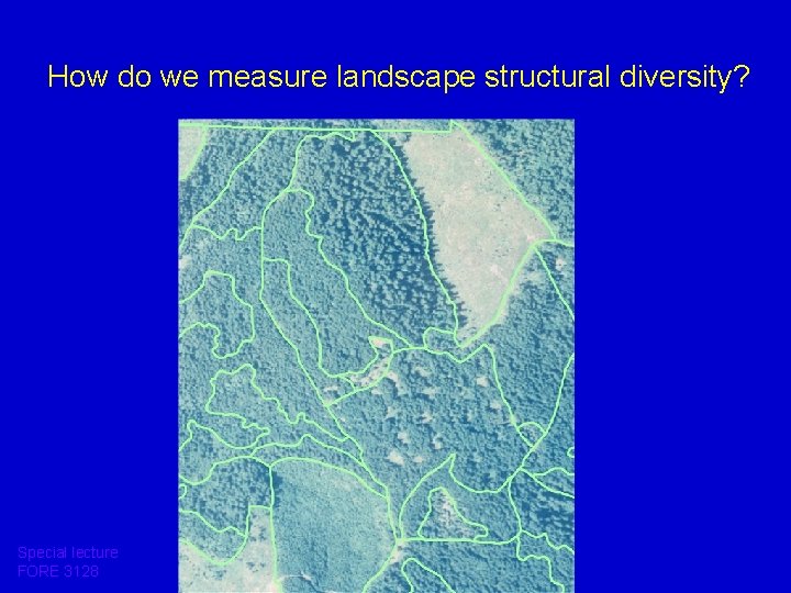 How do we measure landscape structural diversity? Special lecture FORE 3128 