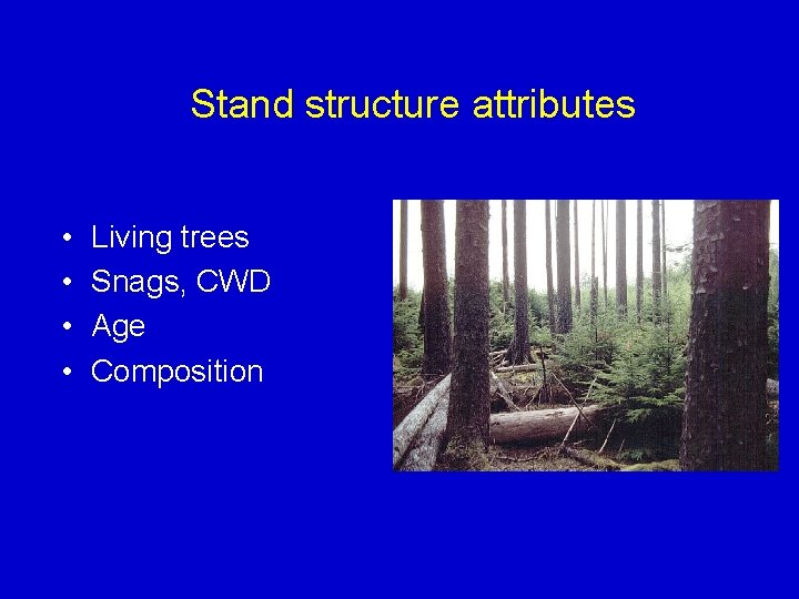 Stand structure attributes • • Living trees Snags, CWD Age Composition 