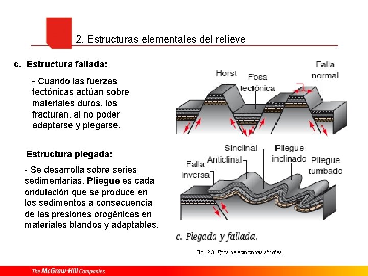 2. Estructuras elementales del relieve c. Estructura fallada: - Cuando las fuerzas tectónicas actúan