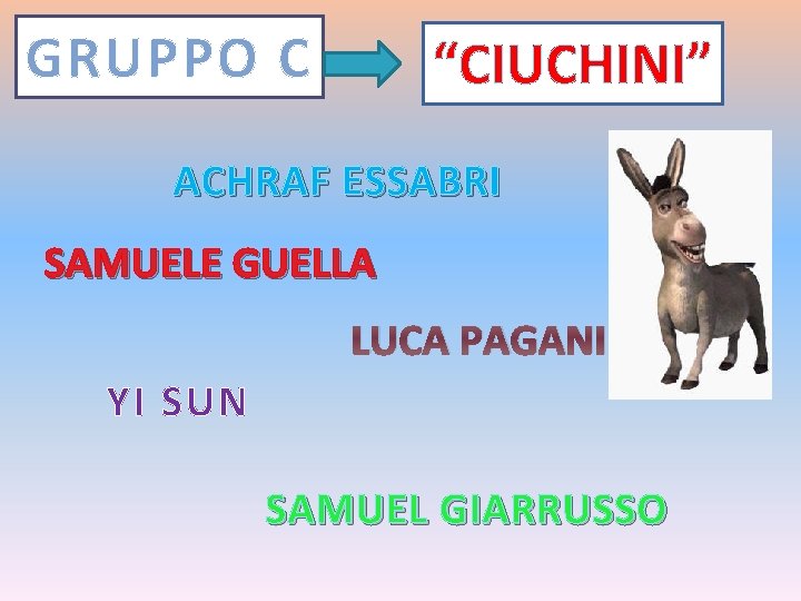 GRUPPO C “CIUCHINI” ACHRAF ESSABRI SAMUELE GUELLA LUCA PAGANI YI SUN SAMUEL GIARRUSSO 