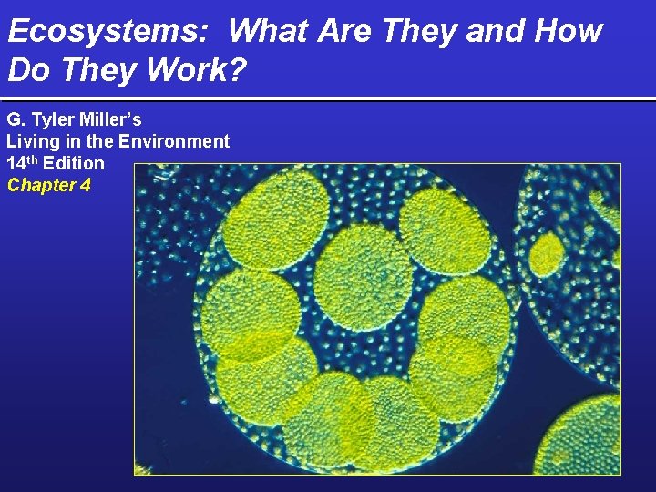 Ecosystems: What Are They and How Do They Work? G. Tyler Miller’s Living in