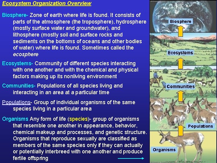 Ecosystem Organization Overview Biosphere- Zone of earth where life is found. It consists of