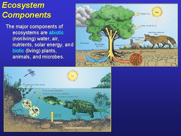 Ecosystem Components The major components of ecosystems are abiotic (nonliving) water, air, nutrients, solar