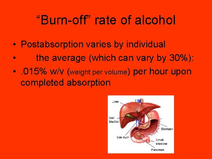 “Burn-off” rate of alcohol • Postabsorption varies by individual • the average (which can