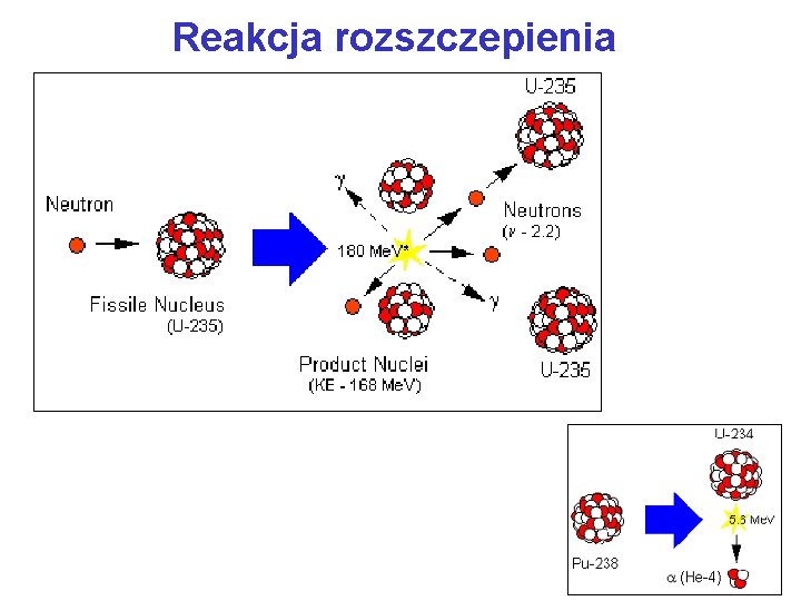 Reakcja rozszczepienia 