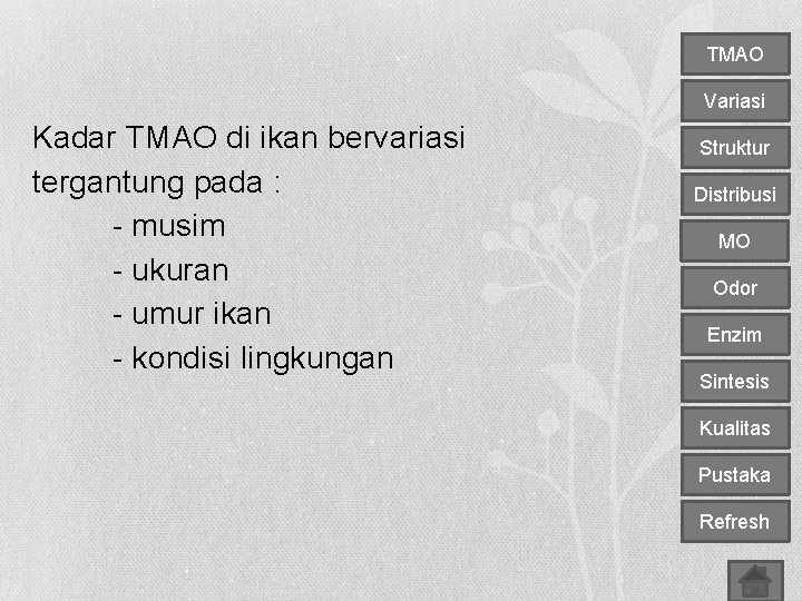 TMAO Variasi Kadar TMAO di ikan bervariasi tergantung pada : - musim - ukuran