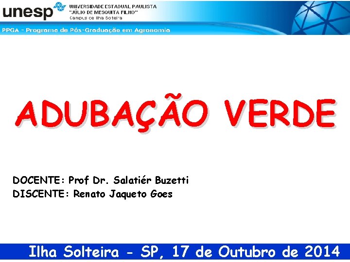 ADUBAÇÃO VERDE DOCENTE: Prof Dr. Salatiér Buzetti DISCENTE: Renato Jaqueto Goes Ilha Solteira -