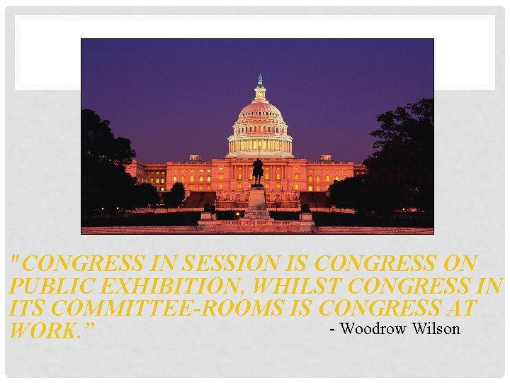 "CONGRESS IN SESSION IS CONGRESS ON PUBLIC EXHIBITION, WHILST CONGRESS IN ITS COMMITTEE-ROOMS IS