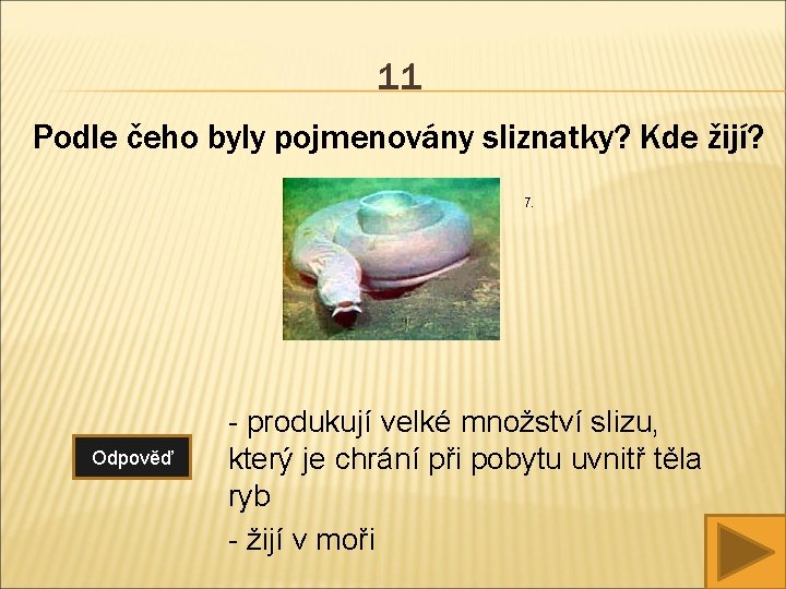 11 Podle čeho byly pojmenovány sliznatky? Kde žijí? 7. Odpověď - produkují velké množství