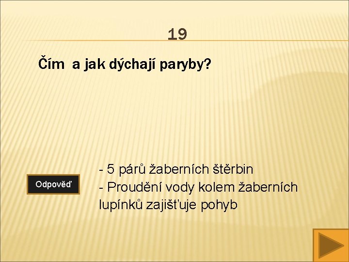 19 Čím a jak dýchají paryby? Odpověď - 5 párů žaberních štěrbin - Proudění