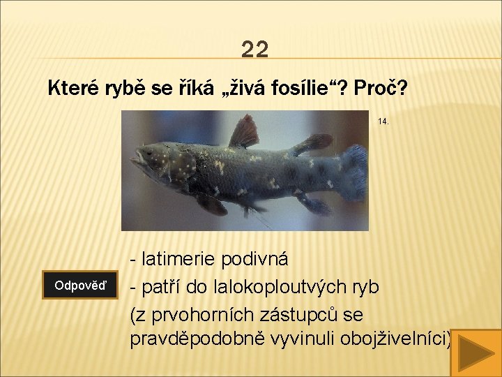 22 Které rybě se říká „živá fosílie“? Proč? 14. Odpověď - latimerie podivná -
