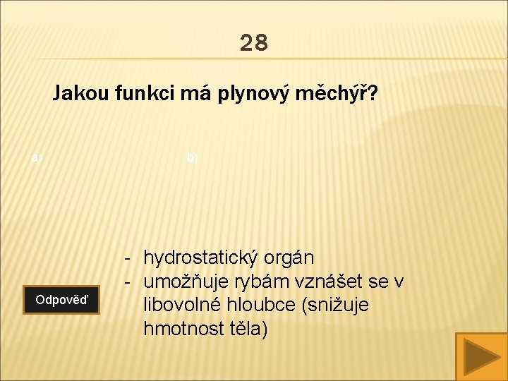 28 Jakou funkci má plynový měchýř? a) Odpověď b) - hydrostatický orgán - umožňuje