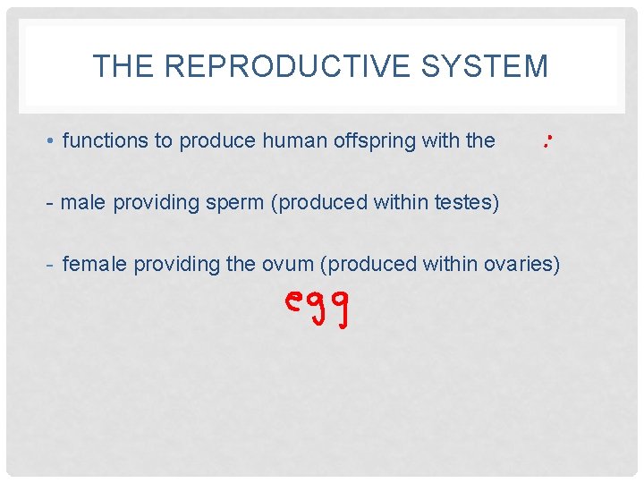 THE REPRODUCTIVE SYSTEM • functions to produce human offspring with the - male providing