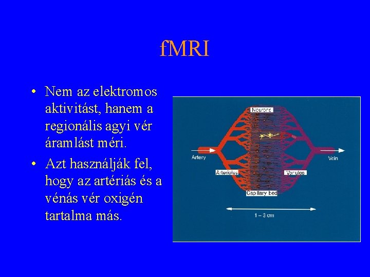 f. MRI • Nem az elektromos aktivitást, hanem a regionális agyi vér áramlást méri.