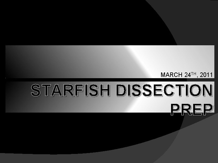 MARCH 24 TH, 2011 STARFISH DISSECTION PREP 
