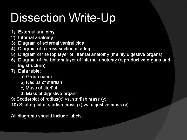 Dissection Write-Up 1) 2) 3) 4) 5) 6) External anatomy Internal anatomy Diagram of