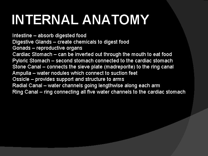 INTERNAL ANATOMY Intestine – absorb digested food Digestive Glands – create chemicals to digest