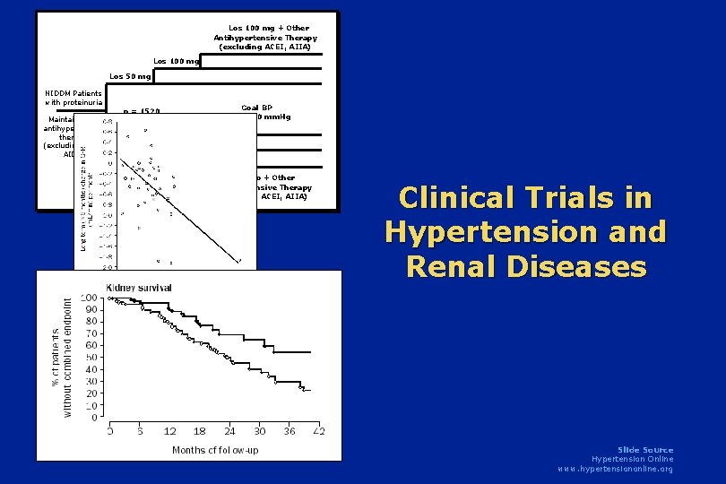 Los 100 mg + Other Antihypertensive Therapy (excluding ACEI, AIIA) Los 100 mg Los Los 100 mg + Other Antihypertensive Therapy (excluding ACEI, AIIA) Los 100 mg Los