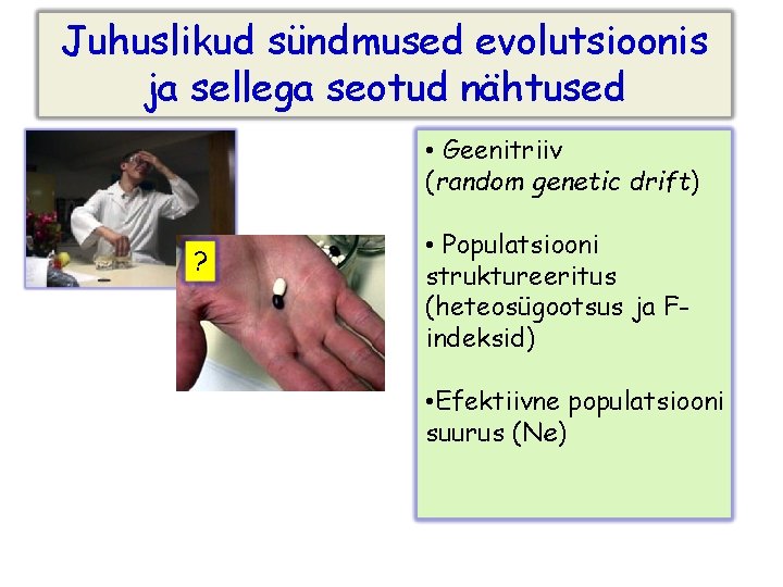 Juhuslikud sündmused evolutsioonis ja sellega seotud nähtused • Geenitriiv (random genetic drift) ? •