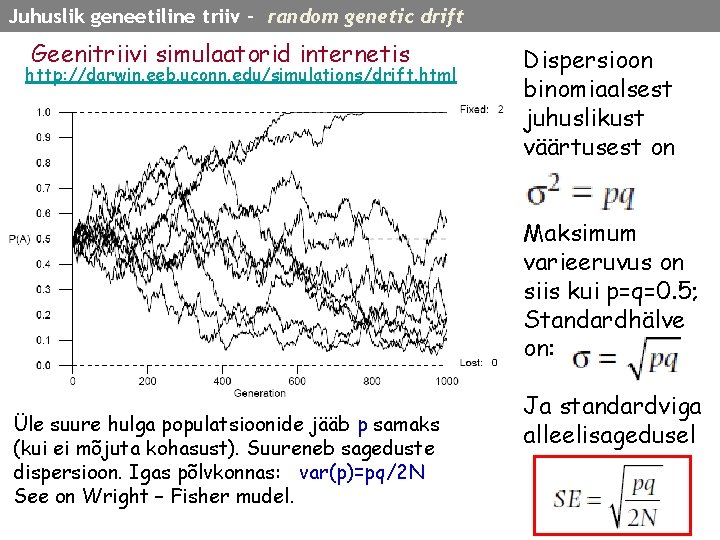 sim Juhuslik geneetiline triiv - random genetic drift Geenitriivi simulaatorid internetis http: //darwin. eeb.