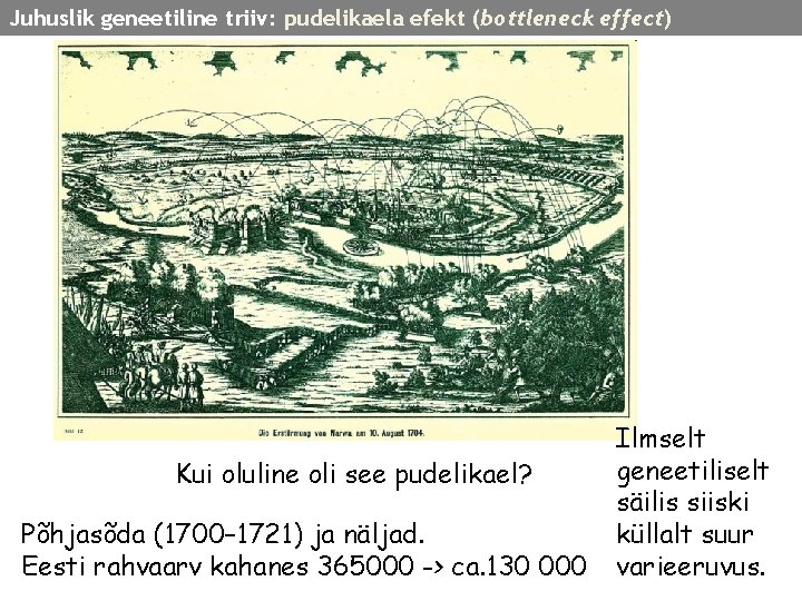 Juhuslik geneetiline triiv: pudelikaela efekt (bottleneck effect) Kui oluline oli see pudelikael? Põhjasõda (1700–