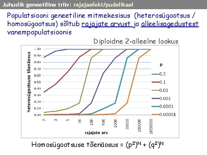 Juhuslik geneetiline triiv: rajajaefekt/pudelikael Populatsiooni geneetiline mitmekesisus (heterosügootsus / homosügootsus) sõltub rajajate arvust ja