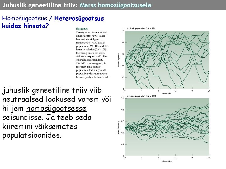 Juhuslik geneetiline triiv: Marss homosügootsusele Homosügootsus / Heterosügootsus kuidas hinnata? juhuslik geneetiline triiv viib