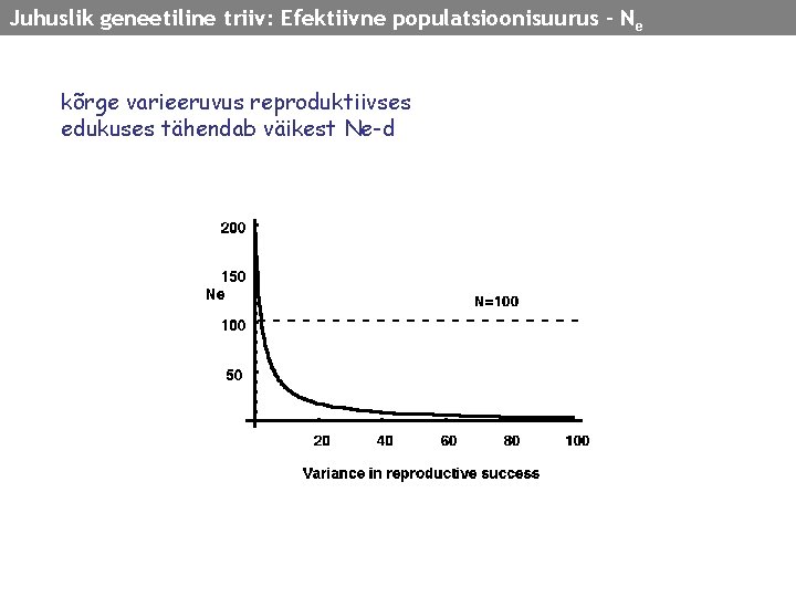 Juhuslik geneetiline triiv: Efektiivne populatsioonisuurus - N e kõrge varieeruvus reproduktiivses edukuses tähendab väikest