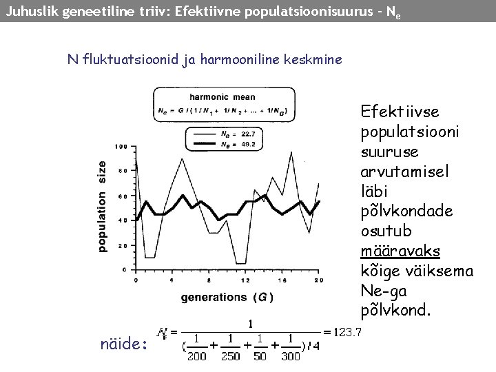 Juhuslik geneetiline triiv: Efektiivne populatsioonisuurus - N e N fluktuatsioonid ja harmooniline keskmine Efektiivse