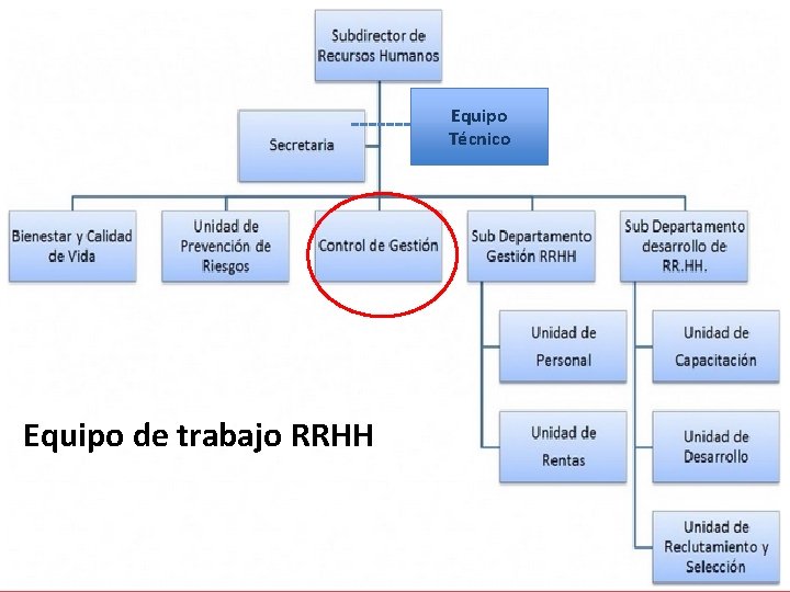 Equipo Técnico Equipo de trabajo RRHH 29 