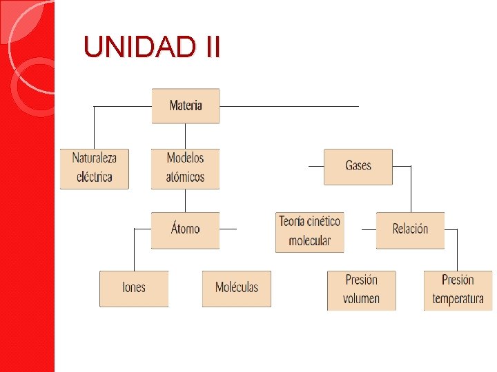 UNIDAD II 