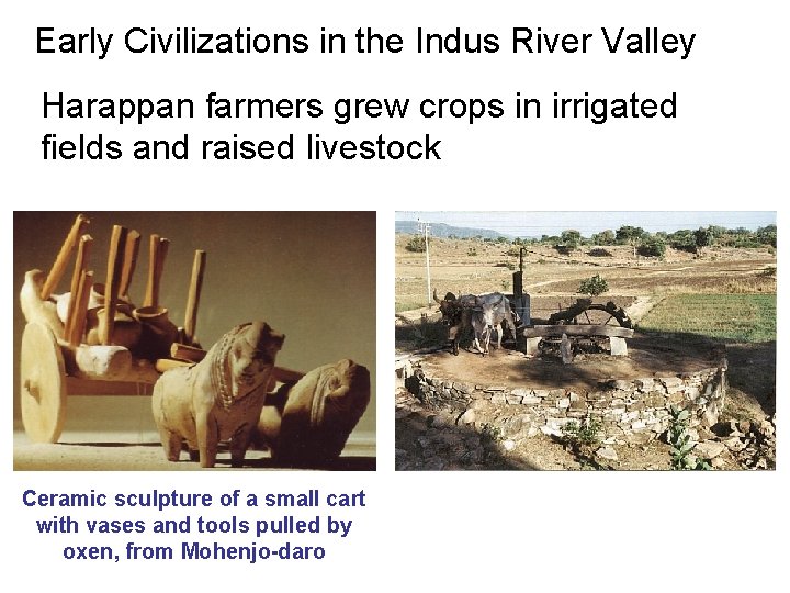 Early Civilizations in the Indus River Valley Harappan farmers grew crops in irrigated fields