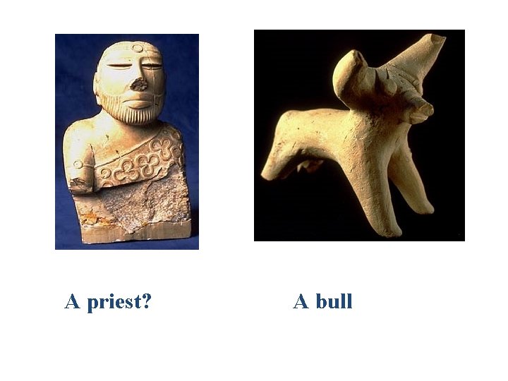 A priest? A bull 