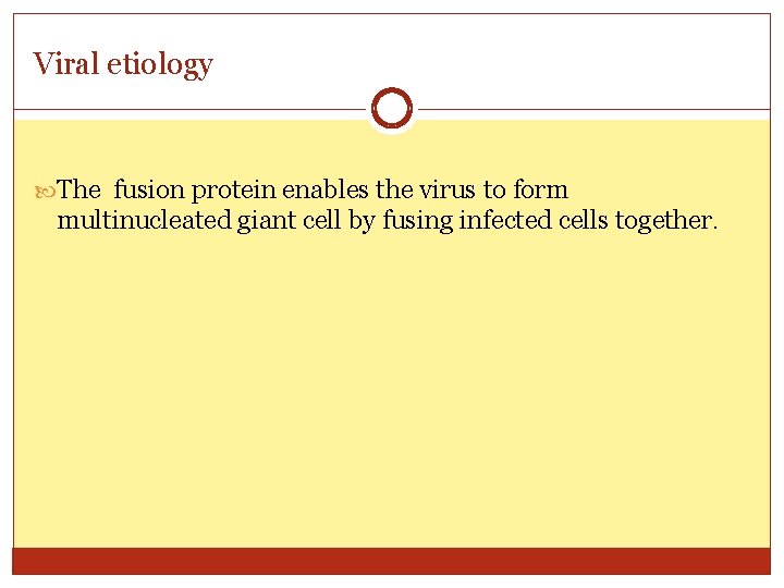 Viral etiology The fusion protein enables the virus to form multinucleated giant cell by