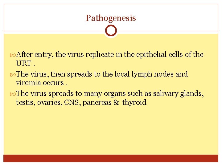 Pathogenesis After entry, the virus replicate in the epithelial cells of the URT. The
