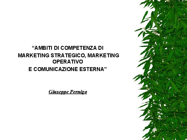 “AMBITI DI COMPETENZA DI MARKETING STRATEGICO, MARKETING OPERATIVO E COMUNICAZIONE ESTERNA” Giuseppe Pernigo 