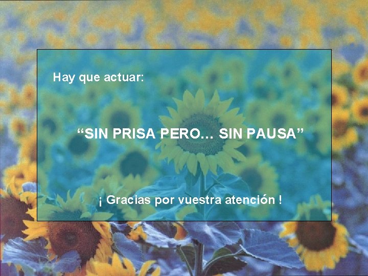 Hay que actuar: “SIN PRISA PERO… SIN PAUSA” ¡ Gracias por vuestra atención !