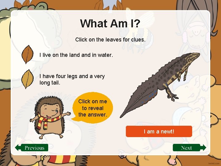 What Am I? Click on the leaves for clues. I live on the land
