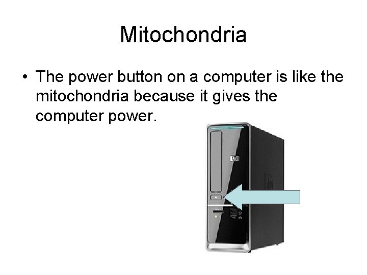 Mitochondria • The power button on a computer is like the mitochondria because it