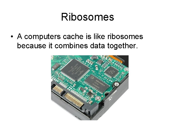 Ribosomes • A computers cache is like ribosomes because it combines data together. 