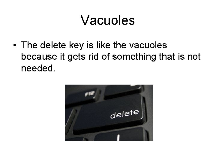 Vacuoles • The delete key is like the vacuoles because it gets rid of