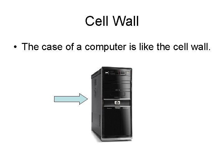 Cell Wall • The case of a computer is like the cell wall. 