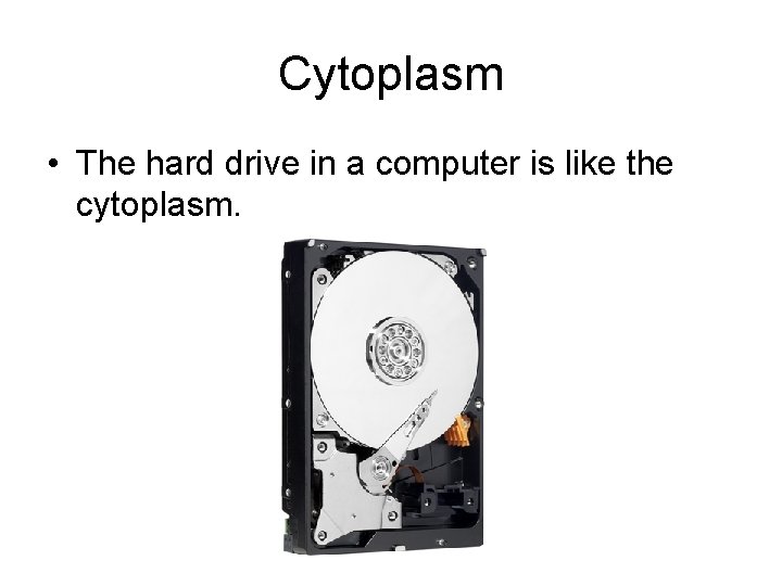 Cytoplasm • The hard drive in a computer is like the cytoplasm. 