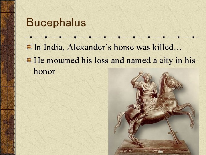 Bucephalus In India, Alexander’s horse was killed… He mourned his loss and named a