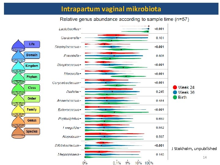 Intrapartum vaginal mikrobiota J Stokholm, unpublished 14 