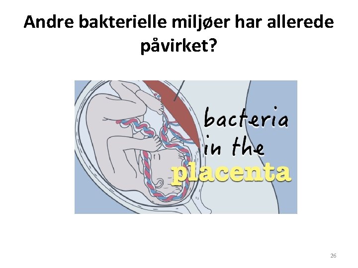 Andre bakterielle miljøer har allerede påvirket? 26 